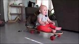 宝宝玩滑板，狸花猫也过来凑热闹，猫咪：谁还不是个宝宝呢