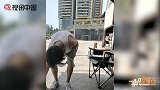 嘚瑟嘚瑟鹿晗秀单手扔瓶小绝技