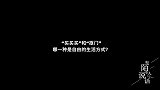 晓楠说消费快乐，还是抠门快乐陈晓楠唯一的衡量标准是这个！