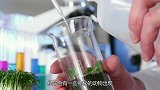 “尼斯湖水怪”又有新说法，这次仅现身一分钟，真实身份让人意外