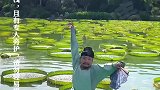 游客景区拍照作诗，结果上演李白“沉”舟将欲行