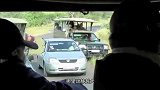 蟒蛇钻进引擎盖不愿走，大叔：它是想在我车上安家吗？