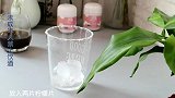 天气热起来了来调杯梅酒咖啡饮喝，清爽解腻口感丰富