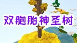 用地心门框搭建祭坛，种植出双胞胎神圣树