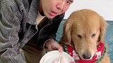 这好像确实是手抓饼