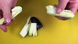 东北菜鲶鱼炖茄子的家常做法，营养美味又解馋，上桌连汤汁都不剩