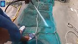 台风天阿雄冒着大浪赶海，第一次遇这么大的鳗鱼，拿一半送给爸妈
