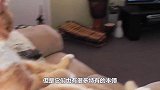 猫咪看主人挤牛奶，主人给它喂了一点，下一秒忍住别笑