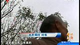 化州村长霸水养鱼 村民无水耕作-2月26日-午间新闻