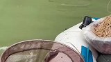真没想到还有惊喜啊