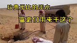 沙特土豪用一车淡水灌进土洞，只为抓一条鬣狗供他们玩乐，这是有钱人脑回路