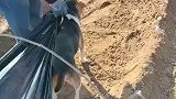 大爷大妈在盖大棚，一顿操作猛如虎