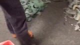 神仙难断玉, 看的老板心都凉凉了