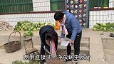 婶子病逝后，倔媳妇给叔叔买吃的尽孝心，希望叔叔有个幸福晚年