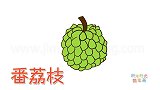 水果简笔画大全，画卡通番荔枝简笔画