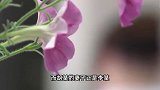 251万凭空消失!警方破获巨款消失案,女子落网含泪喊老公回家