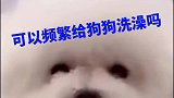 可以给狗狗频繁洗澡吗