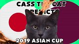 萌猫预测亚洲杯终极决战 日本战胜卡塔尔再捧杯？