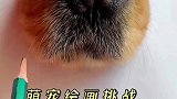 画画萌宠绘画挑战，咱就说画的像不像