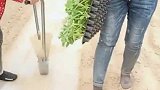 农民朋友自己改装的种植工具