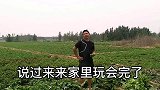 茄子爽口蒜香十足，方法简单易上手，小伙儿这个菜可以吃3碗饭