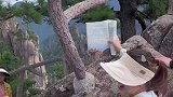 女子带着语文课本打卡黄山，没想到竟然真找到书上的那块石头