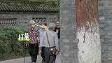 辣目洋子社恐症的一天，沟通全压力