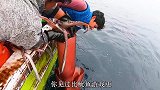 牛人海钓几十斤一只的超级大鱿鱼，一个就够吃一周，实在是大！