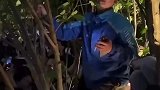 综艺录制现场有单子，外卖小哥爬树上喊话