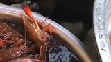 狗子：快放开我的狗爪，疼死我了！