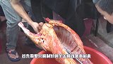 小哥街头卖烤羊羔很是火爆，1斤50块，一只25斤赚500块！