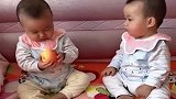 双胞胎兄弟抢苹果，抢夺失败后，吃一下手指都这么开心
