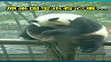 最后知道真相的我眼泪掉下来……