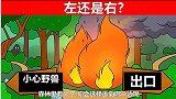 脑力测试：森林里着火了，你会逃向哪一边？