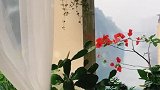 今天我这降温了，你们那呢？