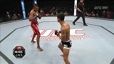 UFC-14年-UFC Fight Night 41：阿尔坎塔拉vs沃恩李集锦-精华