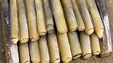 退潮后找到一片竹节蛏的呼吸孔