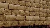 粮食打包运往车上，农民居然想出这个方法，节省了5个劳动力！
