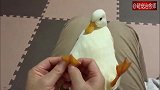 鸭子尽情享受着足底按摩，好舒服呀，鸭：这边这边，两边都要！