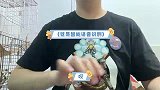 佛珠战神误被按摩奇酷比的故事
