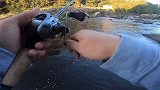 peterfishing ，用胖子米诺，狂拉条纹鲈！