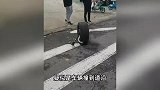 现场!小米Su7行驶中轮毂掉落,车轮羊角断裂?4S店回应