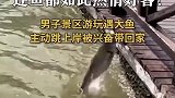 男子景区旅游，遇大鱼主动跳上岸兴奋带回家