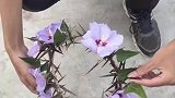 男友给对象编制的花环