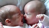 双胞胎小宝宝搂住对方就开始啃，饿急眼了，连亲兄弟都不放过了