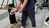 爸爸一带小情人出门，就像壁虎一样黏他身上，你敢把我放下来试试