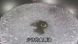 一周吃八次！苦瓜炒鸡蛋出锅爽脆不腻，味道超赞！