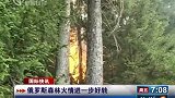 俄罗斯森林火情进一步好转 着火面积减少至8万公顷-8月13日