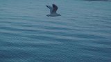 浮云目断苍山外，落日魂消洱海边