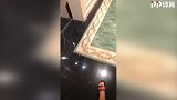 权健金童最爱手包配裤衩拖鞋？ 帕托出街太潮流